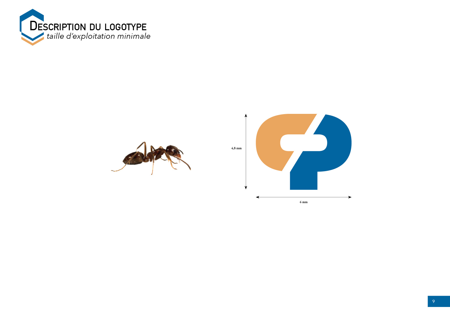 Taille minimale d'exploitation du logo